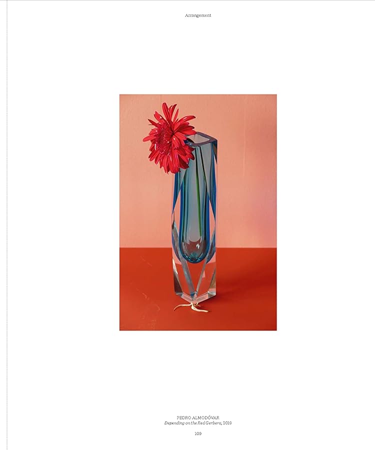 Hidden Product Image 12