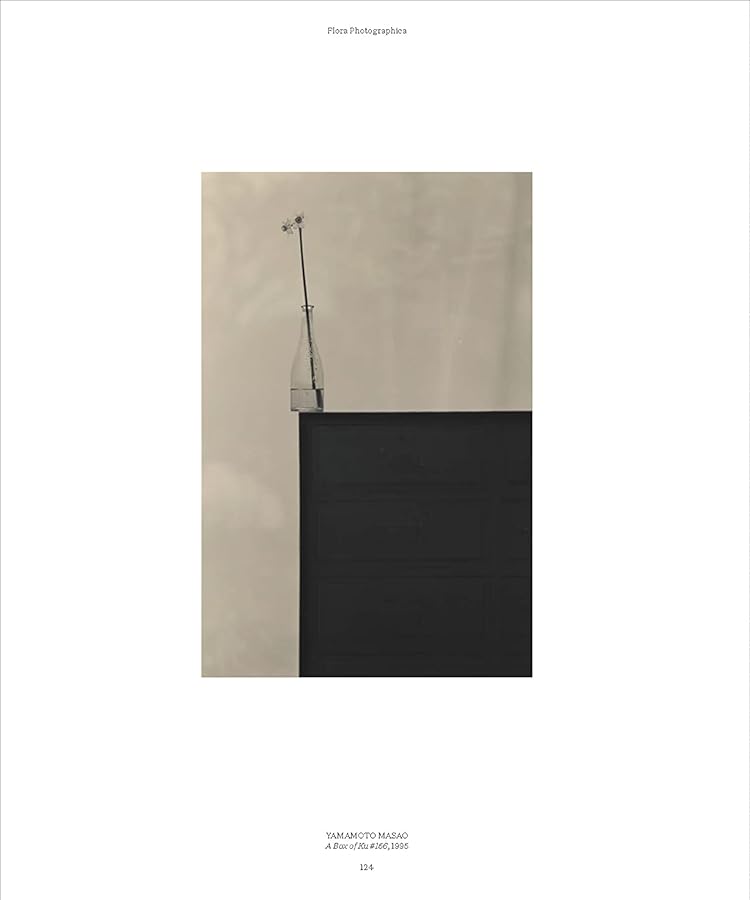 Hidden Product Image 13