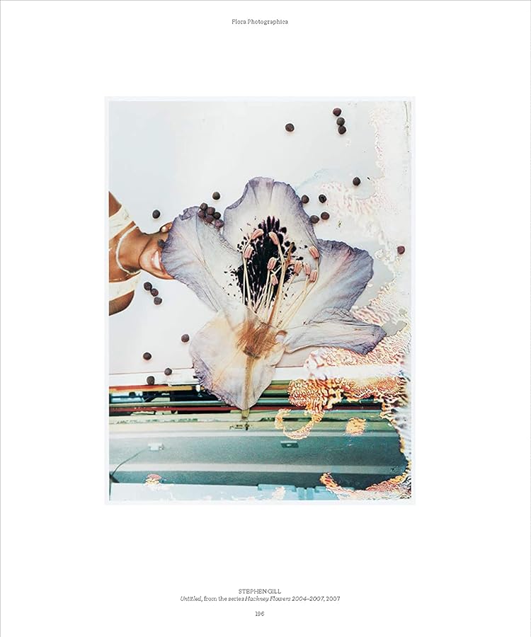 Hidden Product Image 17
