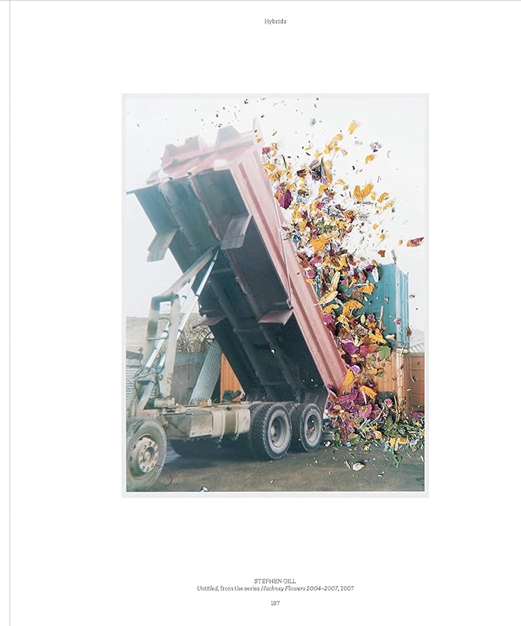 Hidden Product Image 18