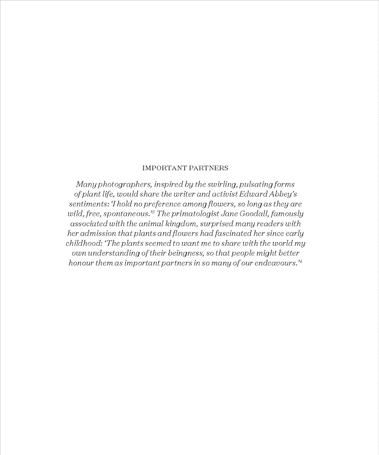 Hidden Product Image 21