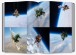 Фото Flower Art. Makoto Azuma 6