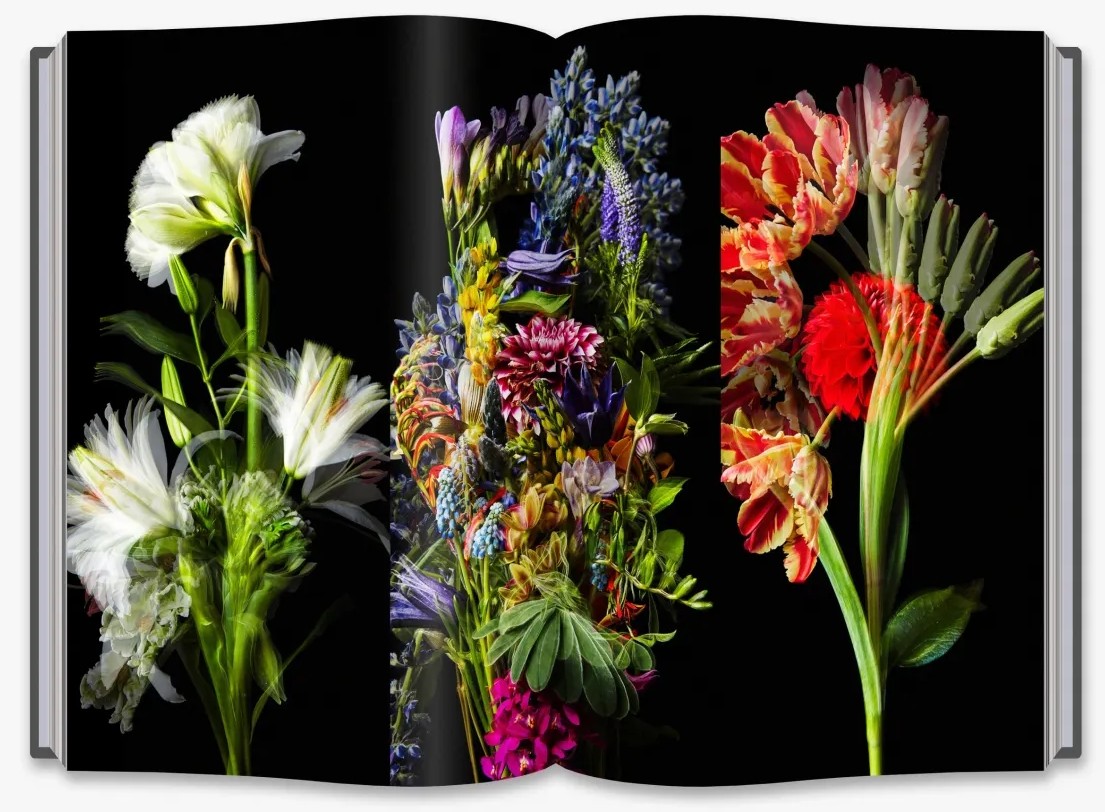 Hidden Product Image 7