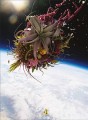 Фото Flower Art. Makoto Azuma 12