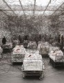 Фото Chiharu Shiota (Bilingual edition) 2