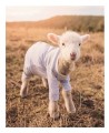 Фото This Book Is Literally Just Pictures of Tiny Animals That Will Make You Smile 4
