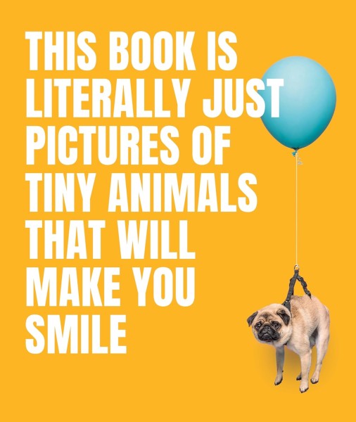 Фото This Book Is Literally Just Pictures of Tiny Animals That Will Make You Smile