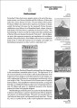 Фото Graphic Design in the Twentieth Century. A Concise History 13