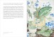 Фото The Book of Garden Flowers 6