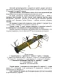 Фото Керівництво зі стрілецької справи до реактивних протитанкових гранат «РПГ-26» 9