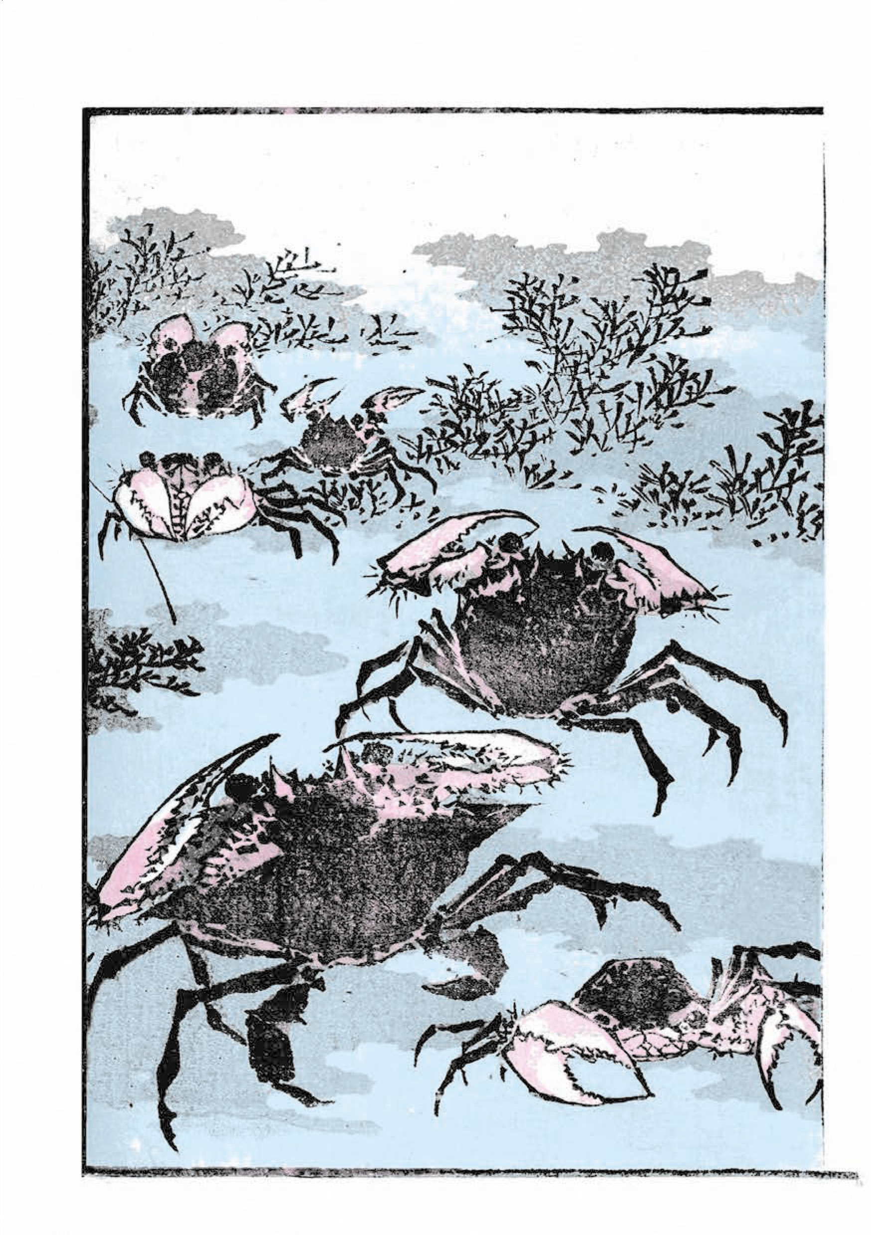 Hidden Product Image 14
