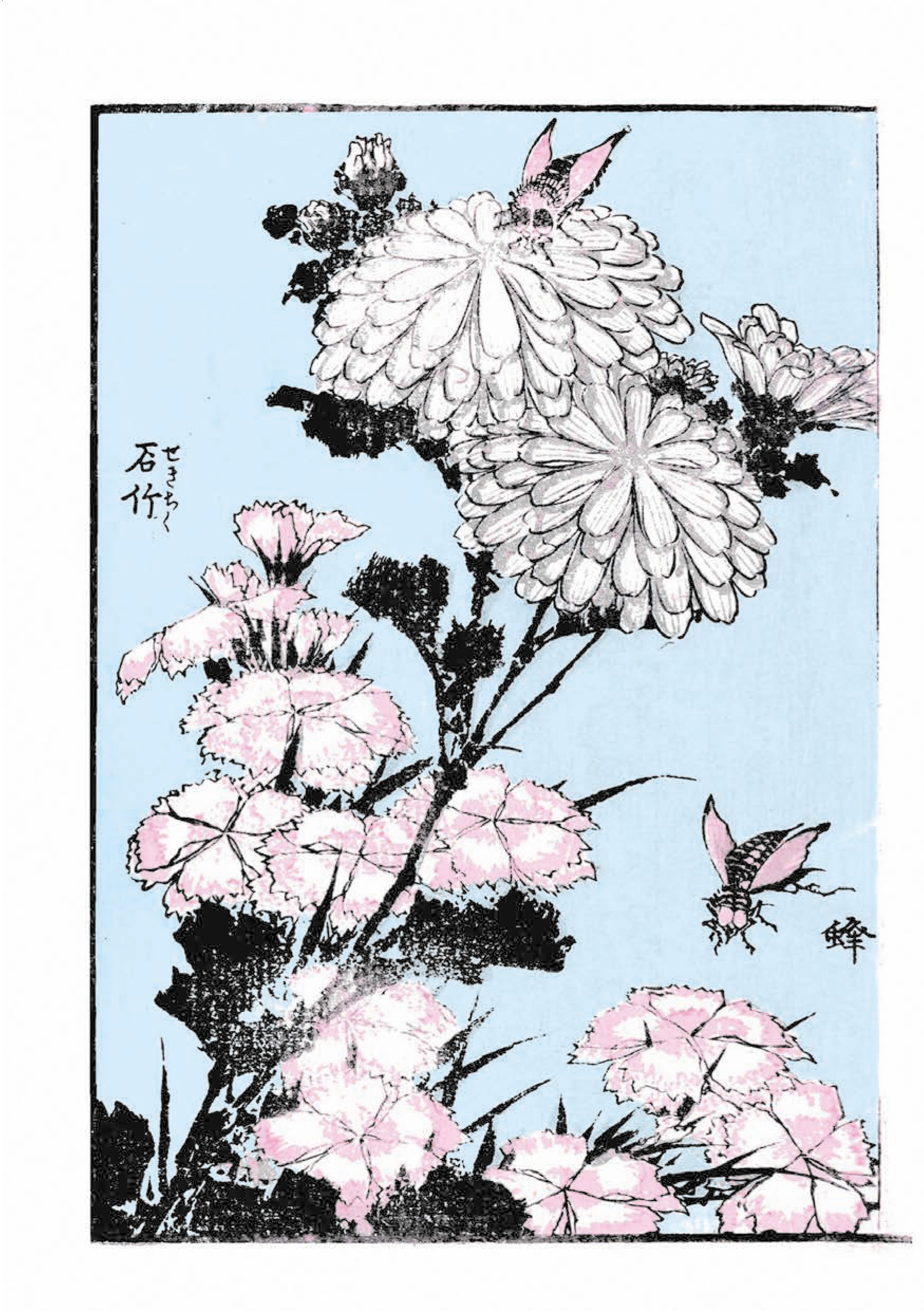 Hidden Product Image 18