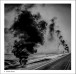 Фото American Geography: A Reckoning with a Dream 4