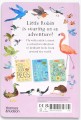 Фото Little Robin's Book of Birds 2