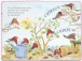 Фото Little Robin's Book of Birds 4