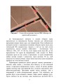 Фото Збірник інформаційно-довідкових матеріалів для командирів військових частин (підрозділів) 6