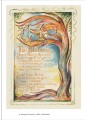 Фото William Blake 8
