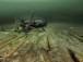 Фото Ghost Ships of the Baltic Sea 6