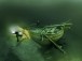 Фото Ghost Ships of the Baltic Sea 9