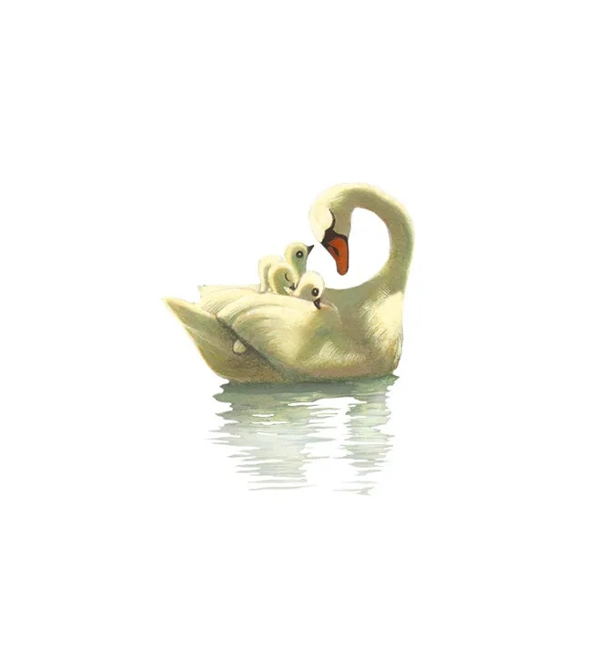 Hidden Product Image 9