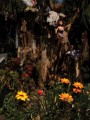 Фото Haunted Places 7