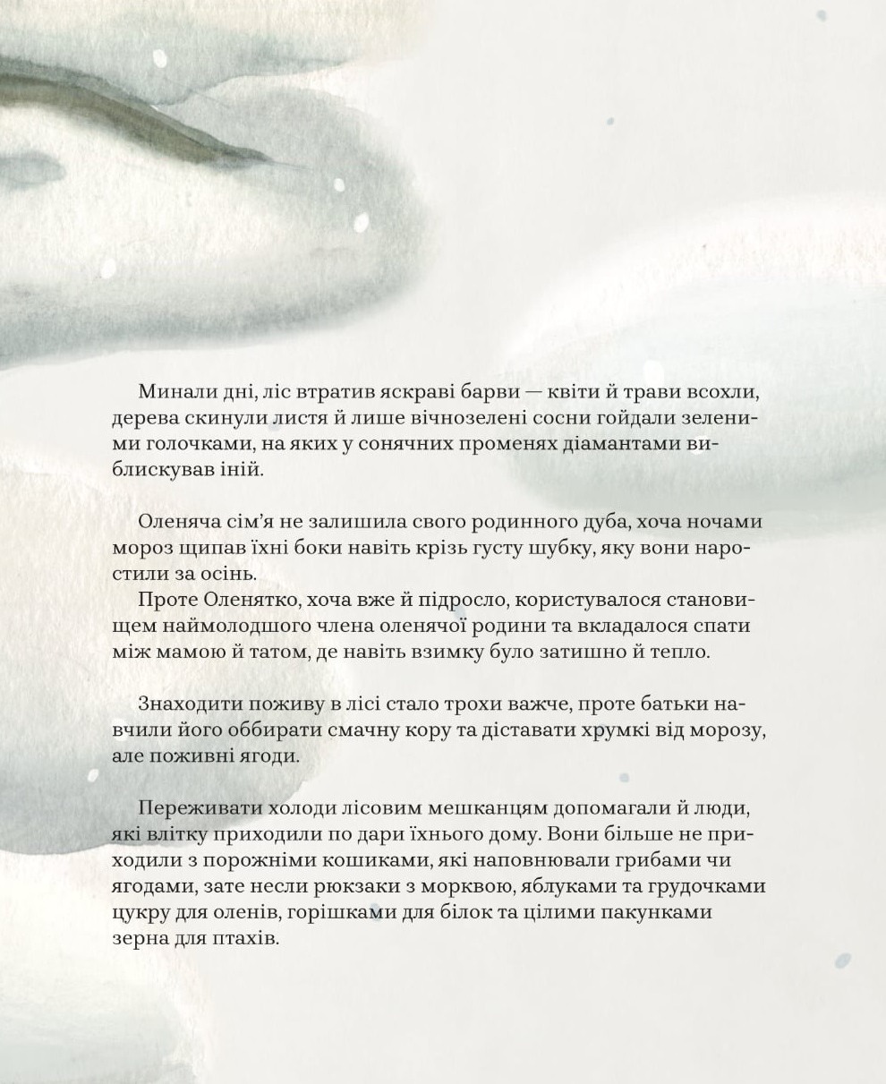 Hidden Product Image 7