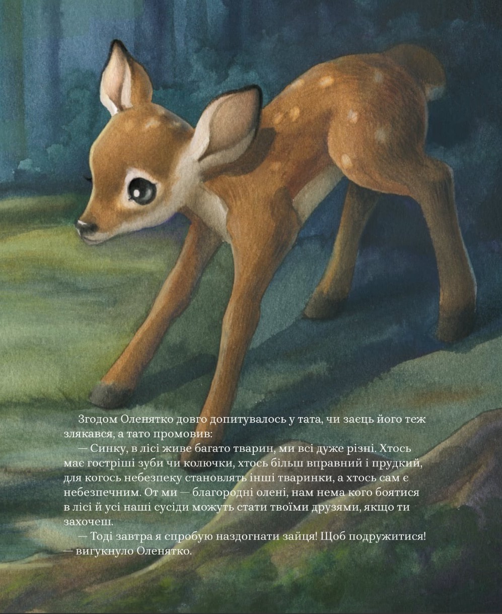 Hidden Product Image 13