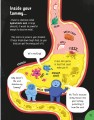 Фото Big Book of Things to Know 3