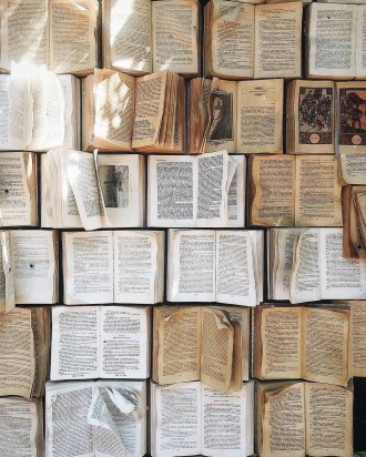 Bookwish 📖🪽