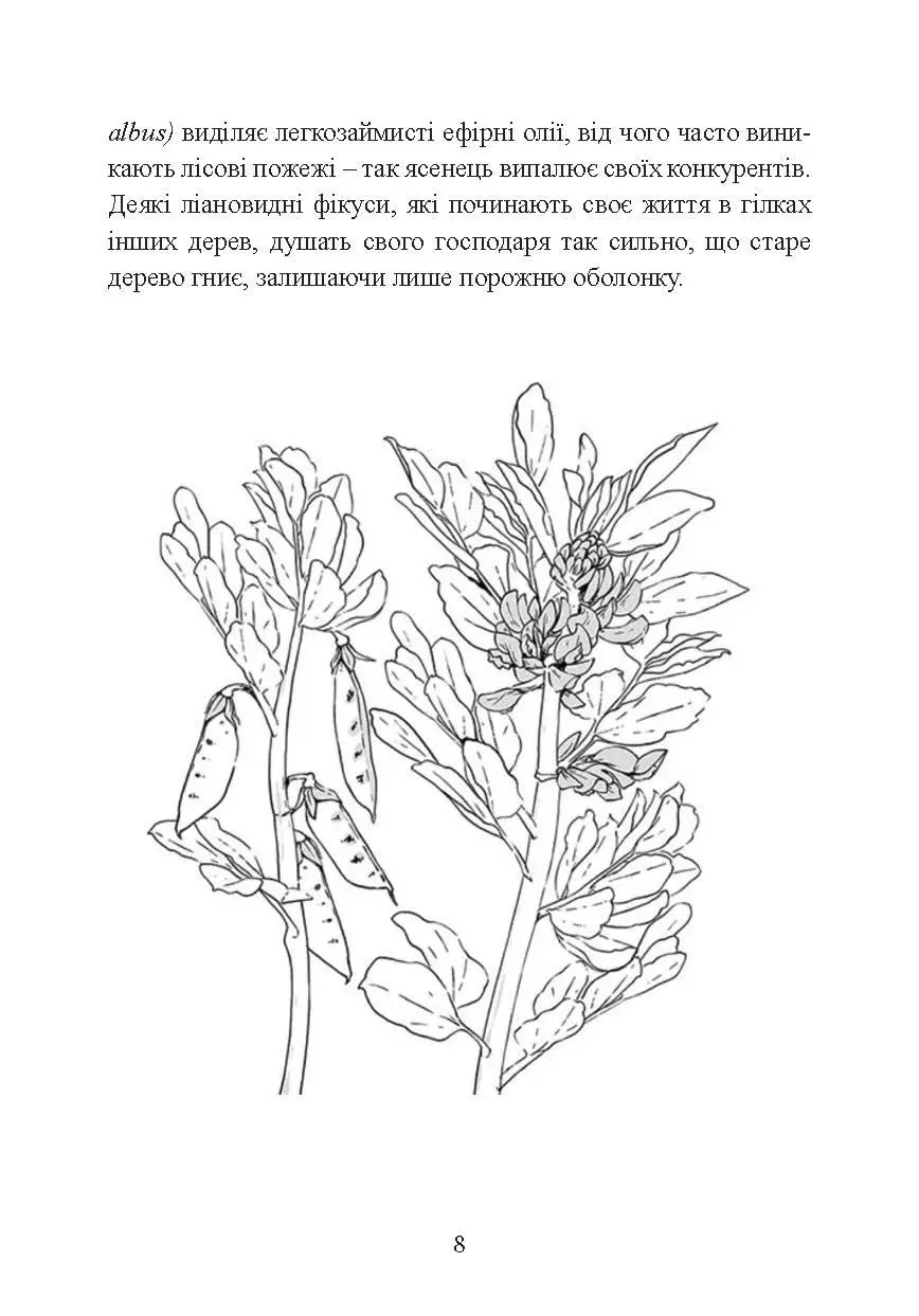 Hidden Product Image 8