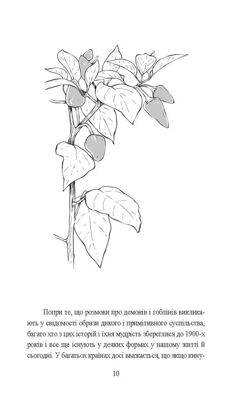 Hidden Product Image 10