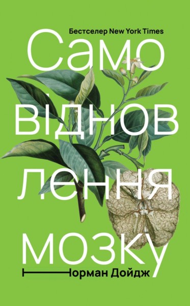 Фото Самовідновлення мозку