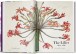 Фото Redouté. The Book of Flowers 2