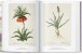 Фото Redouté. The Book of Flowers 3