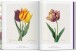 Фото Redouté. The Book of Flowers 7