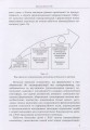 Фото Дитина з розладами аутистичного спектра 7