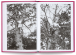 Фото Women in Trees 2