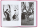 Фото Women in Trees 3