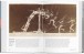 Фото History of Photography. From 1839 to the Present 4