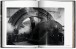 Фото Peter Lindbergh. On Fashion Photography 4