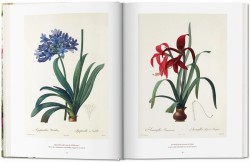 Redoute. The Book of Flowers