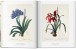 Фото Redoute. The Book of Flowers 4