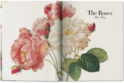 Redoute. The Book of Flowers