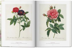 Redoute. The Book of Flowers