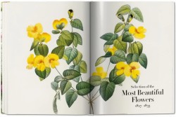 Redoute. The Book of Flowers
