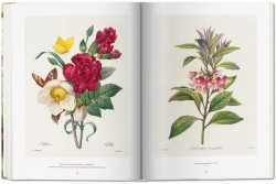 Redoute. The Book of Flowers