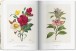 Фото Redoute. The Book of Flowers 8