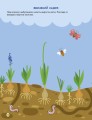 Фото Стікербук: Великдень. Ігрова книжка з наліпками 5