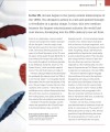Фото The Film Book. A Complete Guide to the World of Cinema 4