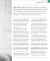 Фото The Film Book. A Complete Guide to the World of Cinema 8